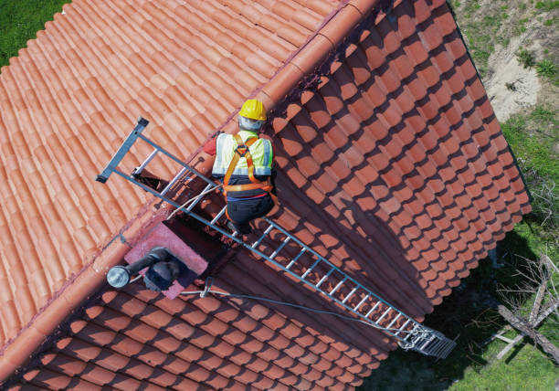 Best Asphalt Shingle Roofing  in Marlinton, WV