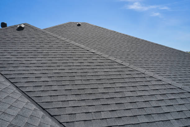 Best Roof Leak Repair  in Marlinton, WV