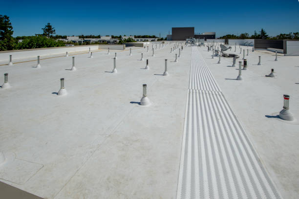 Best Metal Roofing Installation  in Marlinton, WV